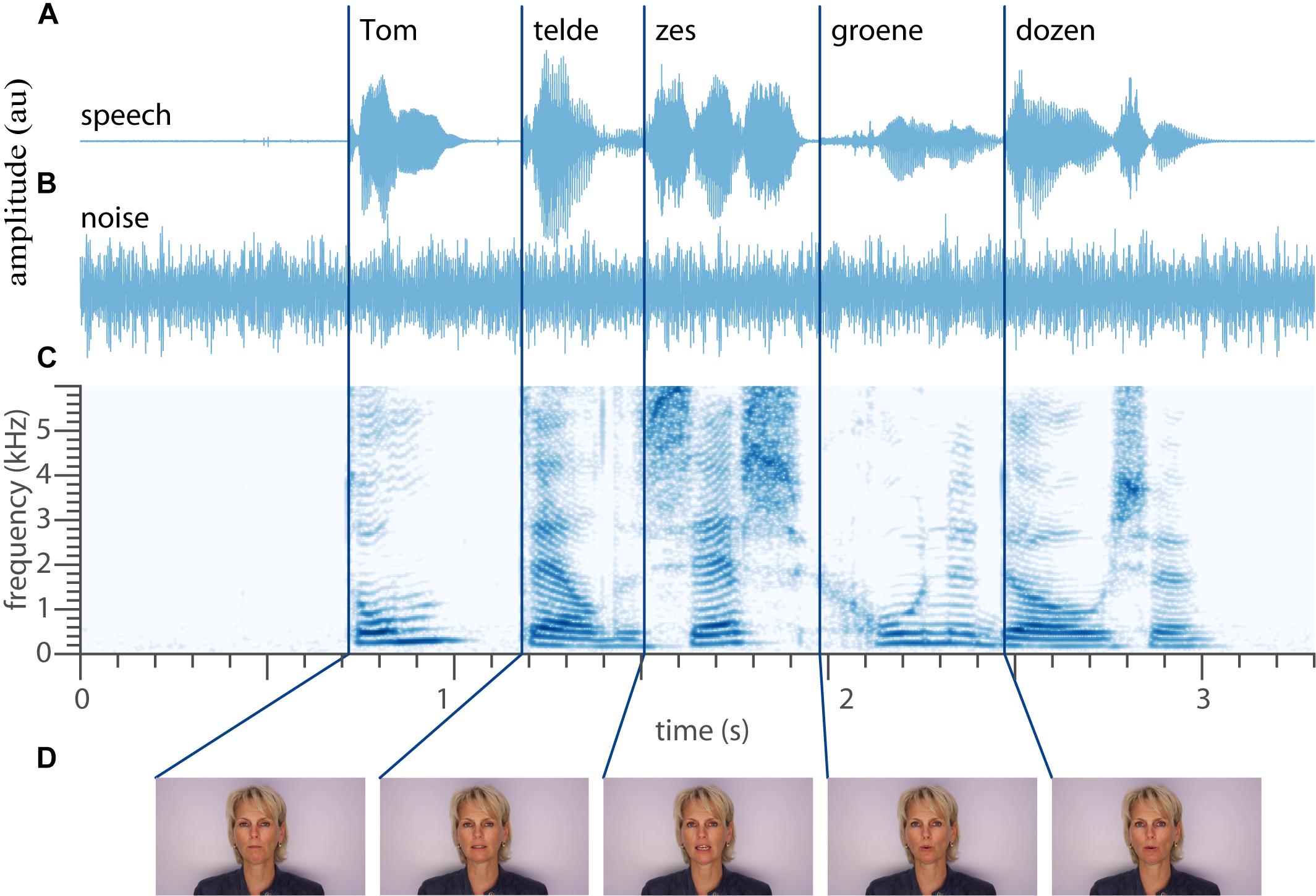 audiovisual speech perception definition