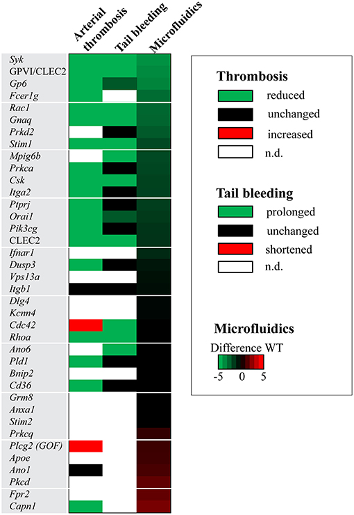 Frontiers P2RY12-Inhibitors Reduce Cancer-Associated Thrombosis and Tumor Growth in Pancreatic Cancers