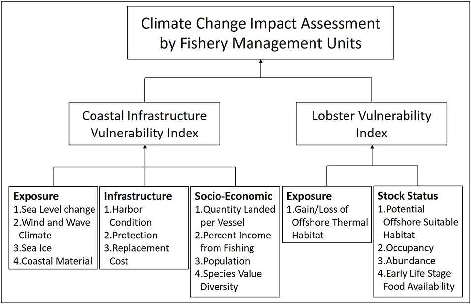 Managing Fisheries in an Age of Climate Change: American Lobster