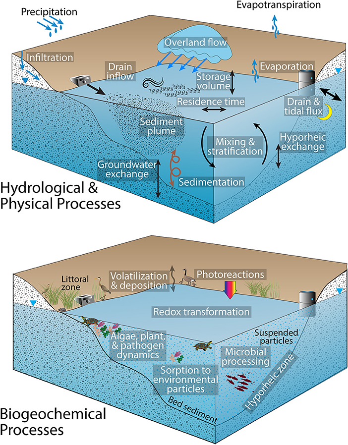 Frontiers stormwater ponds in the southeastern u s coastal plain