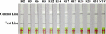 www.frontiersin.org