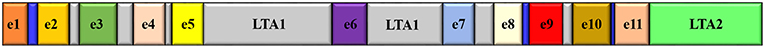 www.frontiersin.org