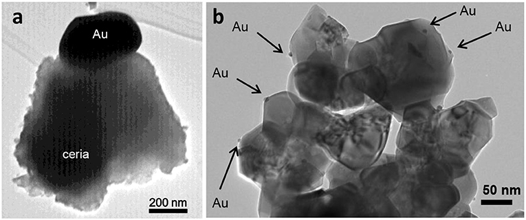 Frontiers | Supported Gold Nanoparticles as Catalysts for Frontiers | Supported Gold Nanoparticles as Catalysts for