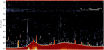 www.frontiersin.org