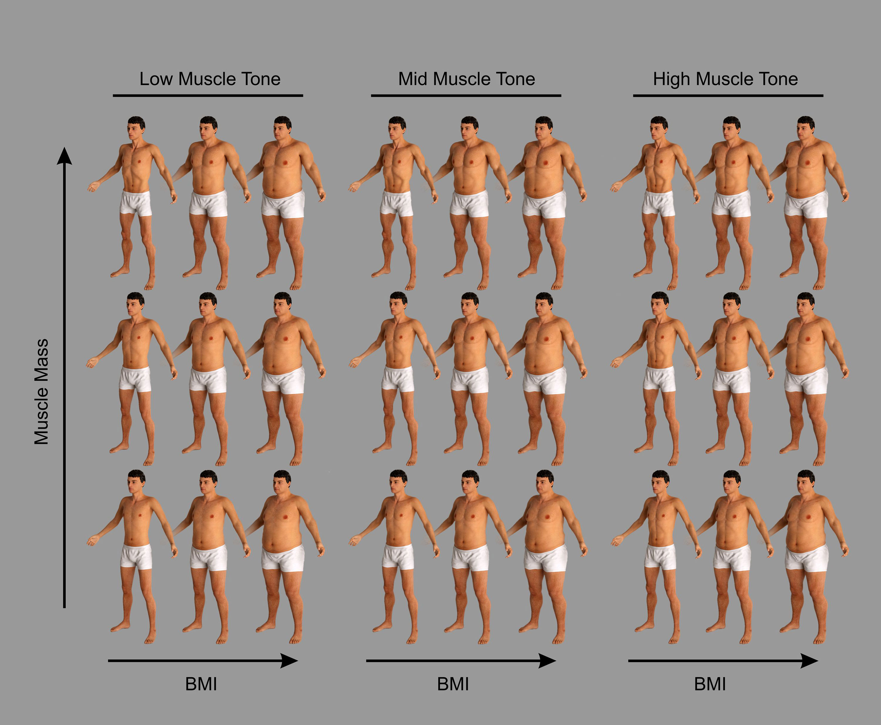 Frontiers How Does Variation In The Body Composition Of Both