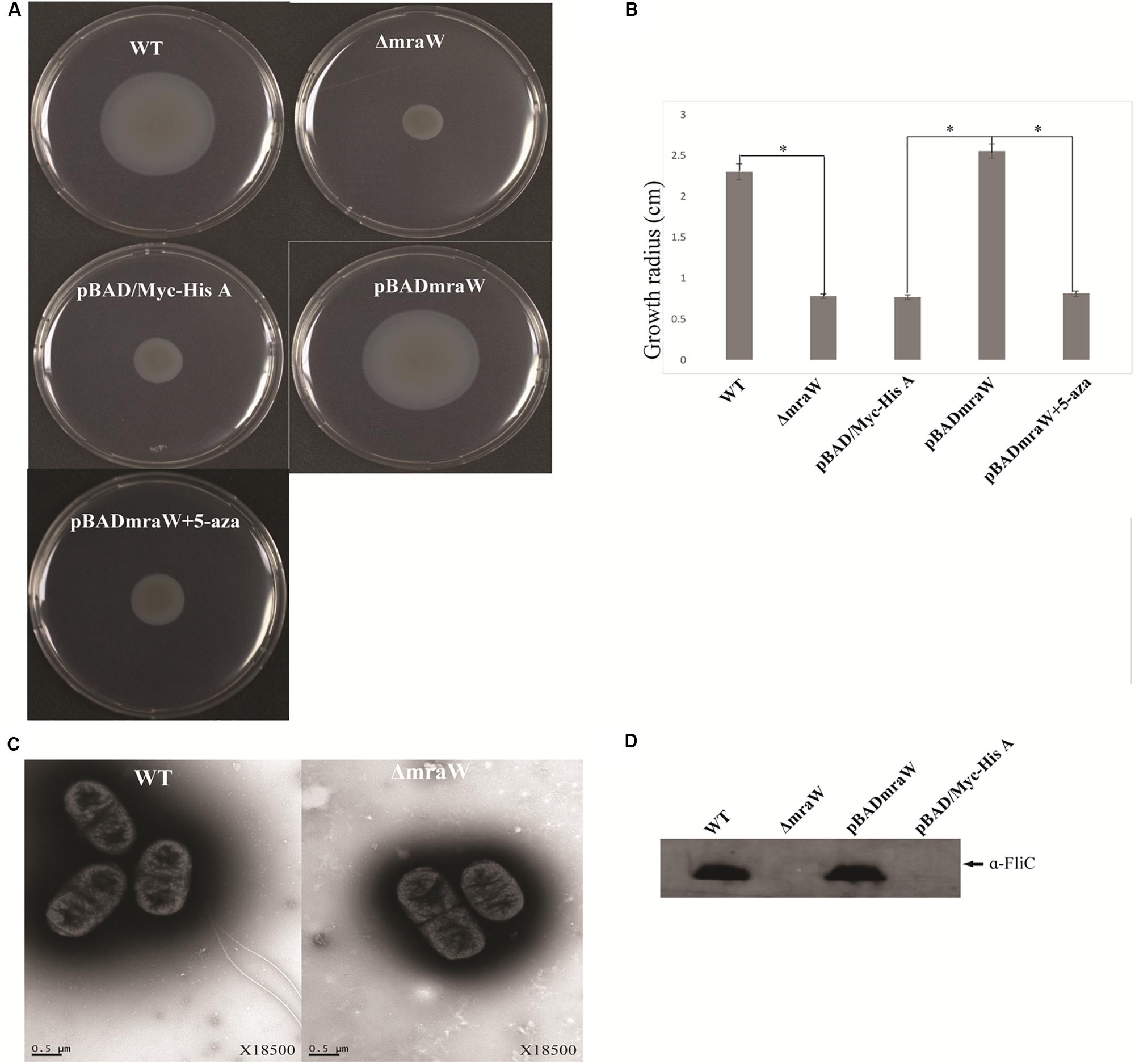 Takara Restriction Enzyme Buffer Chart