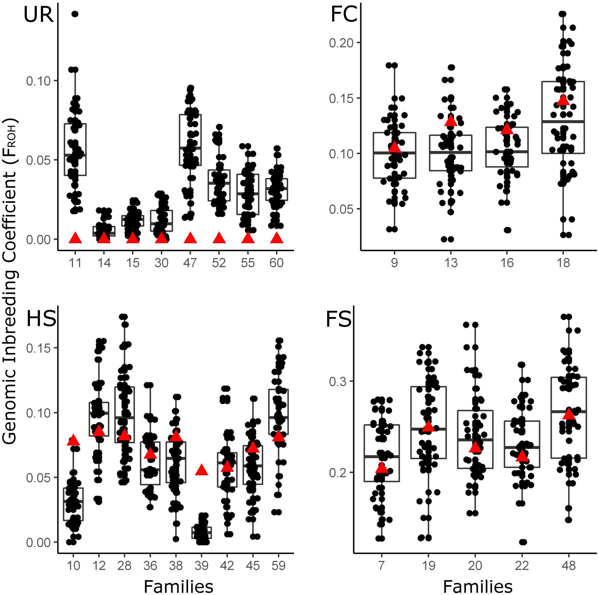 Violin plots of mean total sum of ROH longer than 1 Mb (in Gb