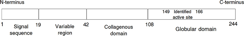 www.frontiersin.org
