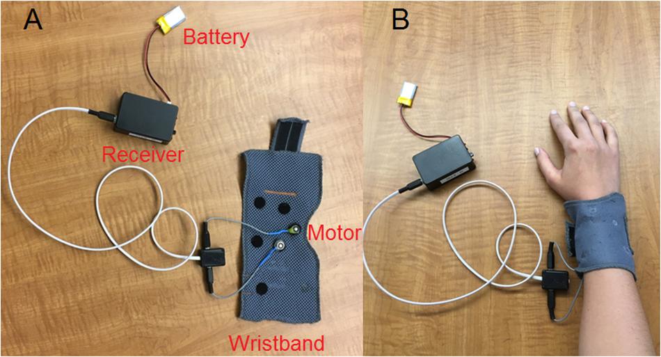 Frontiers  Vibrotactile Stimulation Based on the Fundamental Frequency Can  Improve Melodic Contour Identification of Normal-Hearing Listeners With a  4-Channel Cochlear Implant Simulation