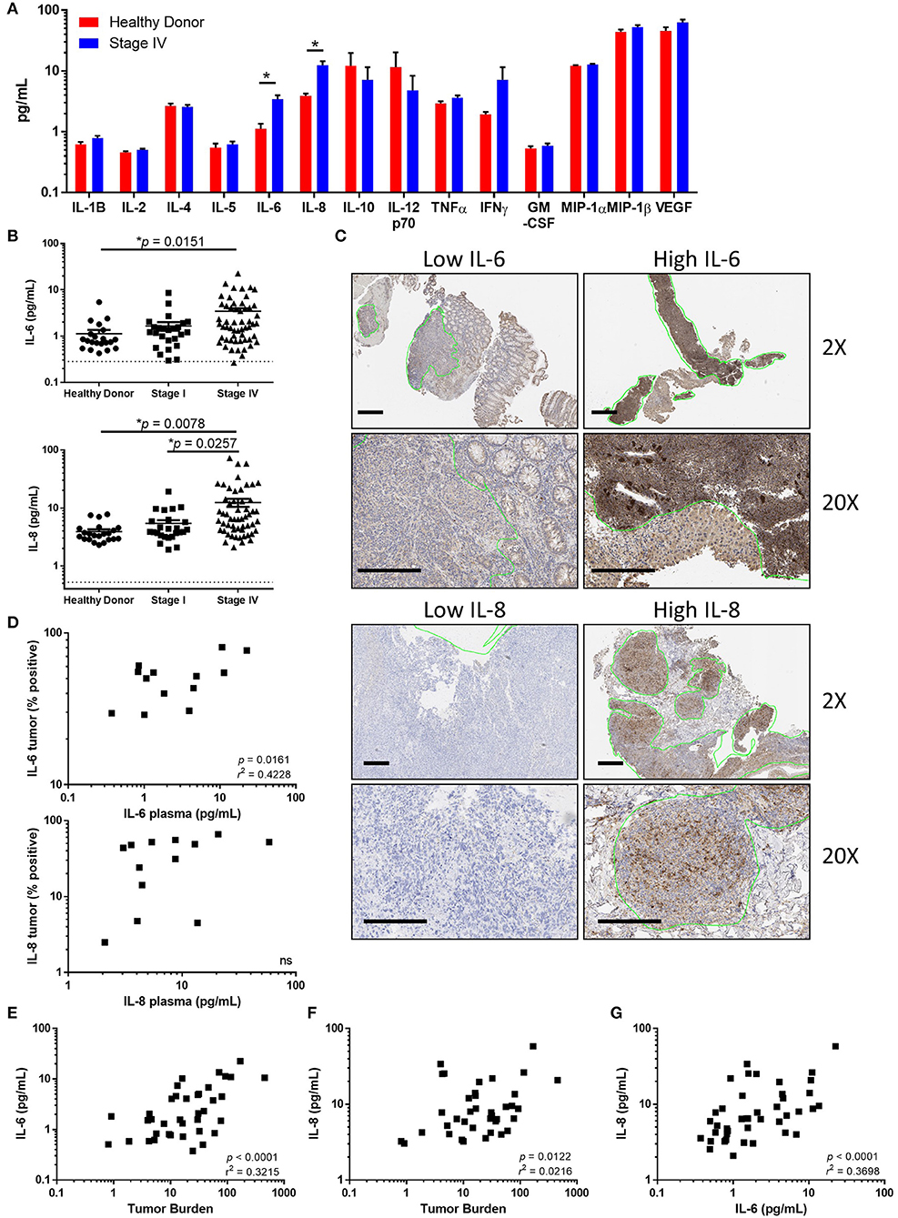 Cd3 antibody biolegend il6