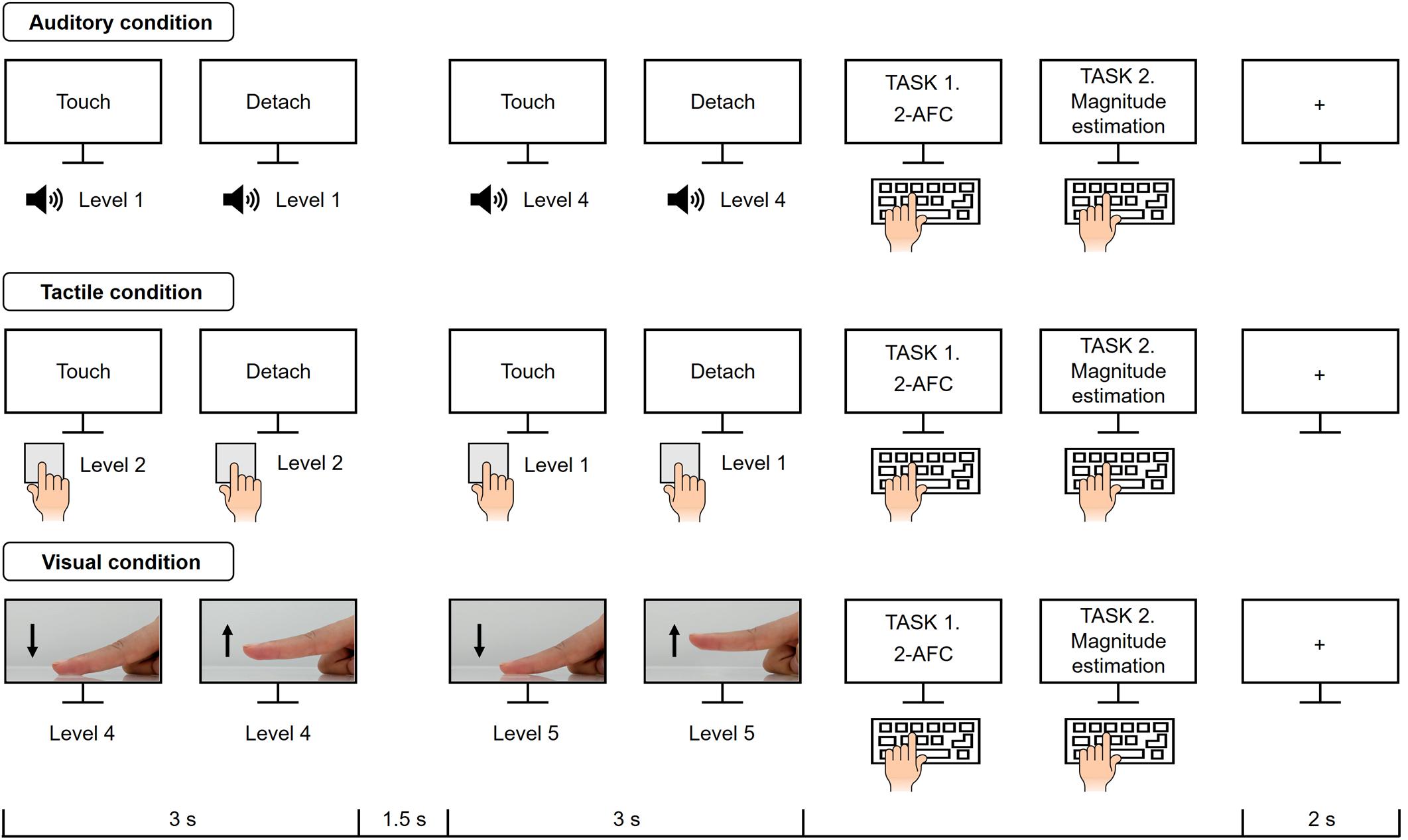 Frontiers | Surface Stickiness Perception by Auditory, Tactile, and Visual  Cues | Psychology