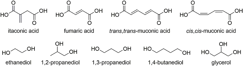 Frontiers Improving The Post Polymerization Modification Of Bio Based Itaconate Unsaturated Polyesters Catalyzing Aza Michael Additions With Reusable Iodine On Acidic Alumina Chemistry