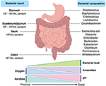 small intestine bacterial overgrowth cure small intestine bacterial overgrowth cure