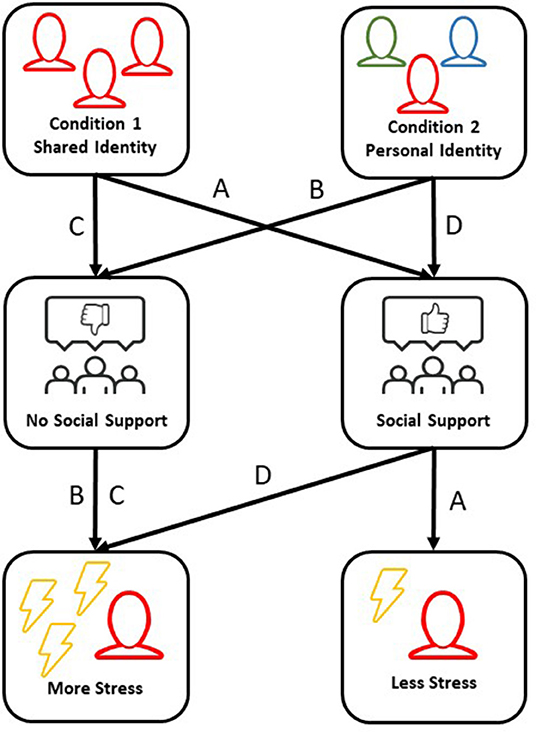 Figure 1 - Experiment to test, when the interplay of social identity and social support reduces stress.