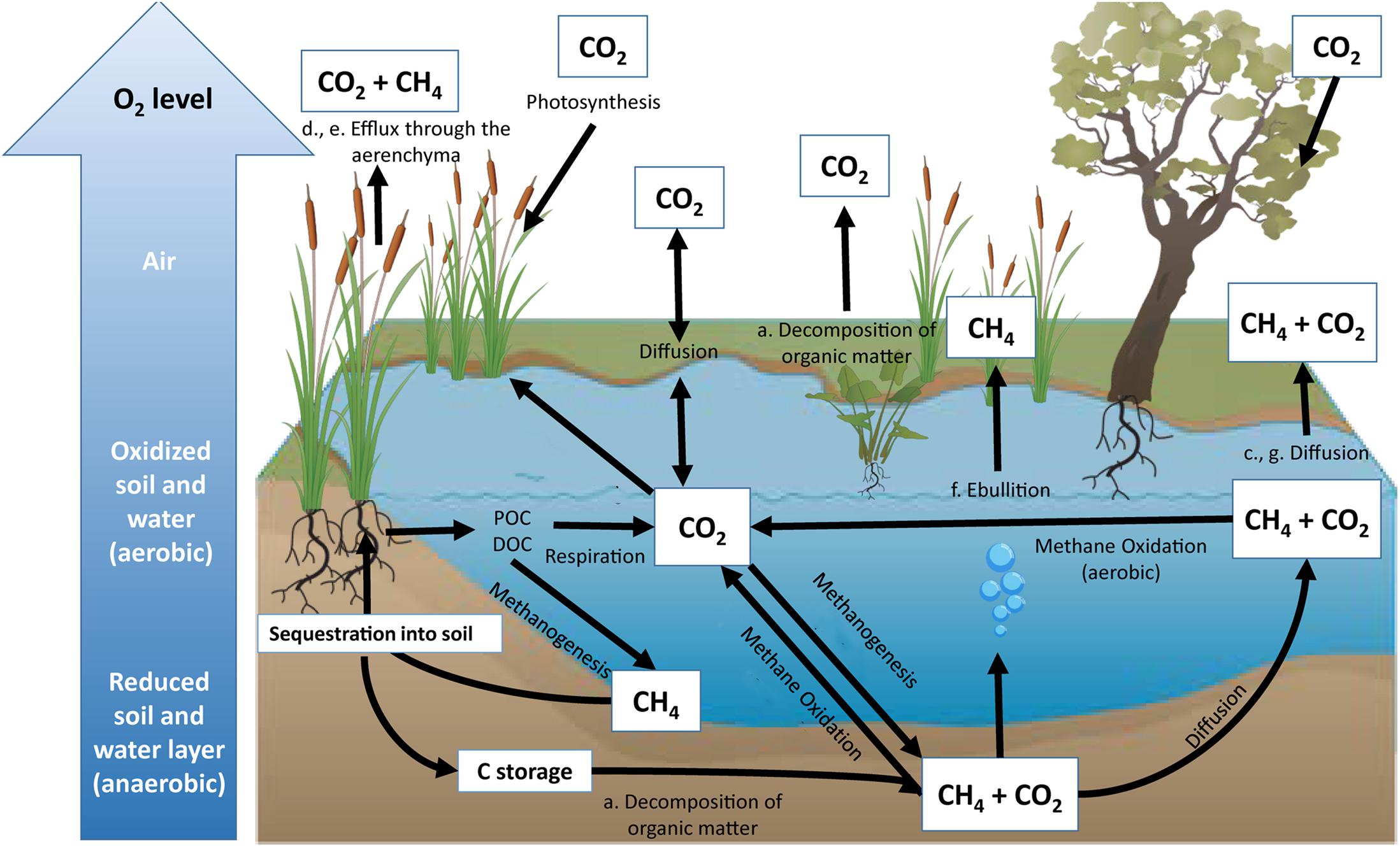 Regional Inventory Shows Patterns of Greenhouse Gas Emissions - CMAP