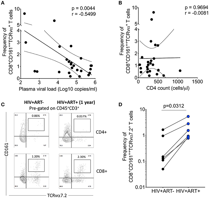 Frontiers | Airway CD8+CD161++TCRvα7.2+ Depletion Untreated HIV Targets CD103 Expressing Cells | Immunology