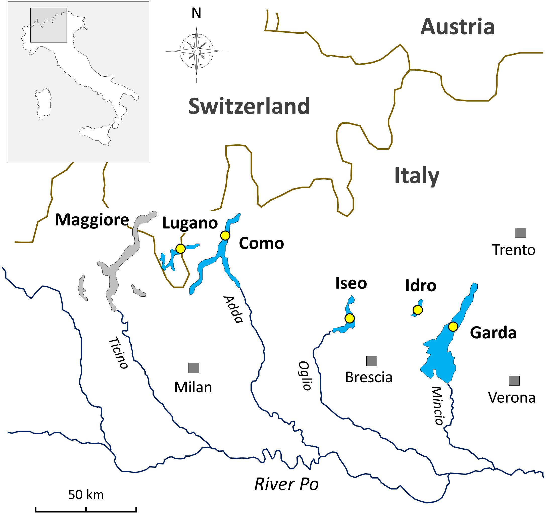 www.frontiersin.org