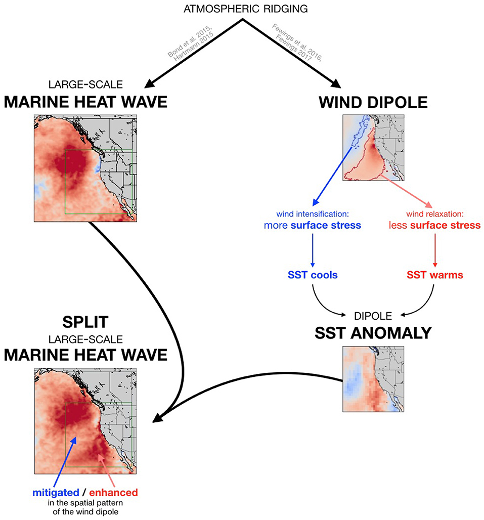 String of Marine Heatwaves Continues to Dominate Northeast Pacific