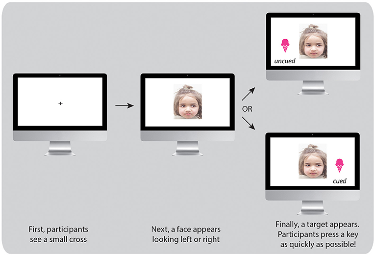 Figure 2 - Sequence of the cueing task to measure social attention.