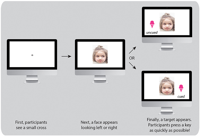 Figure 2 - Sequence of the cueing task to measure social attention.