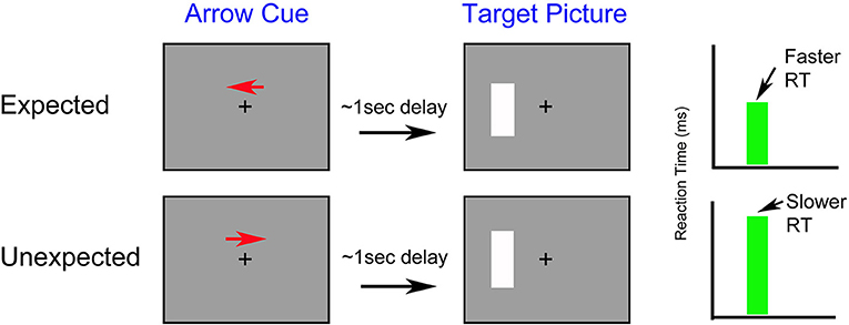 Figure 1 - How does attention influence reaction time? The four gray boxes represent computer monitors.