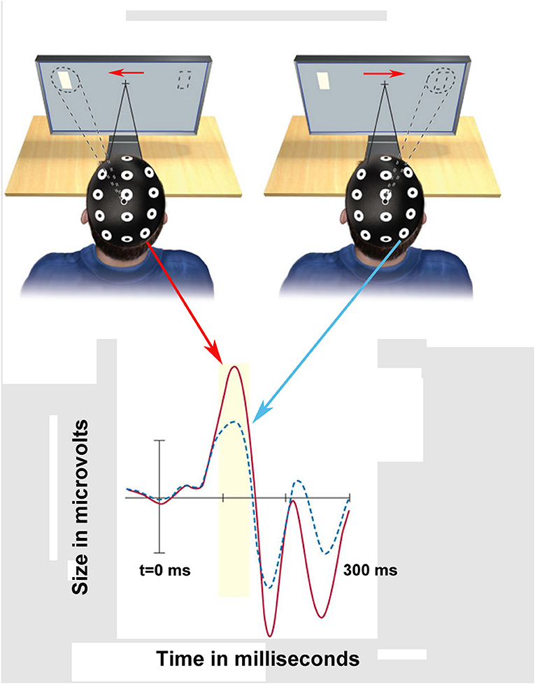 Figure 2 - Measuring brain waves during an attention task.