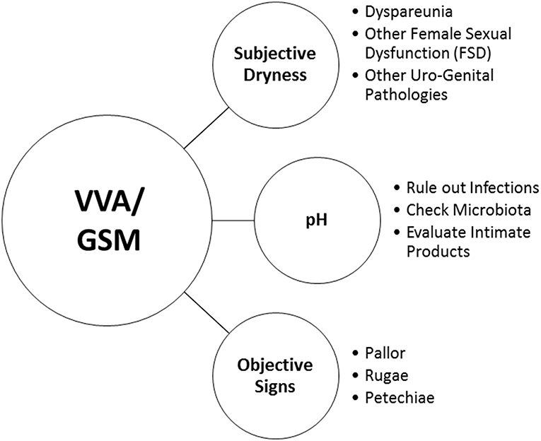 Key-Elements of VVA/GSM Diagnosis 