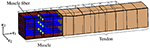 www.frontiersin.org