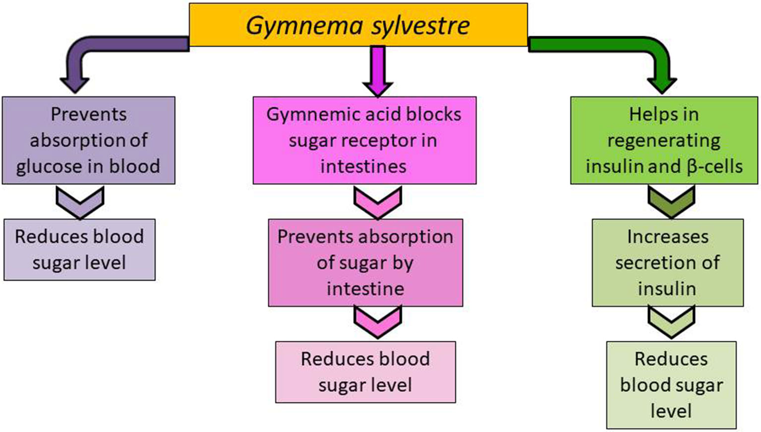 Kaiser Blood Sugar Chart