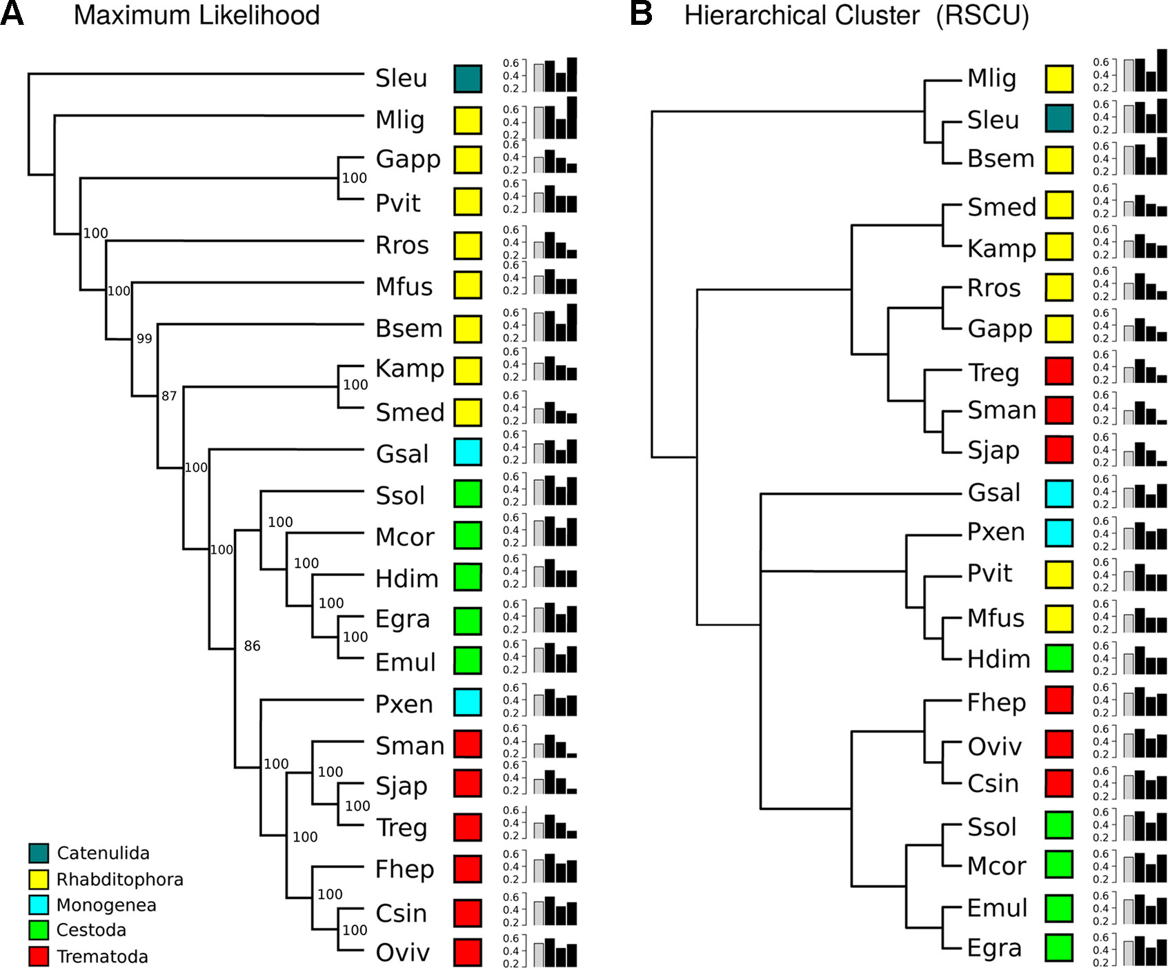 Codon Usage Chart