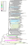 www.frontiersin.org