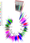 www.frontiersin.org