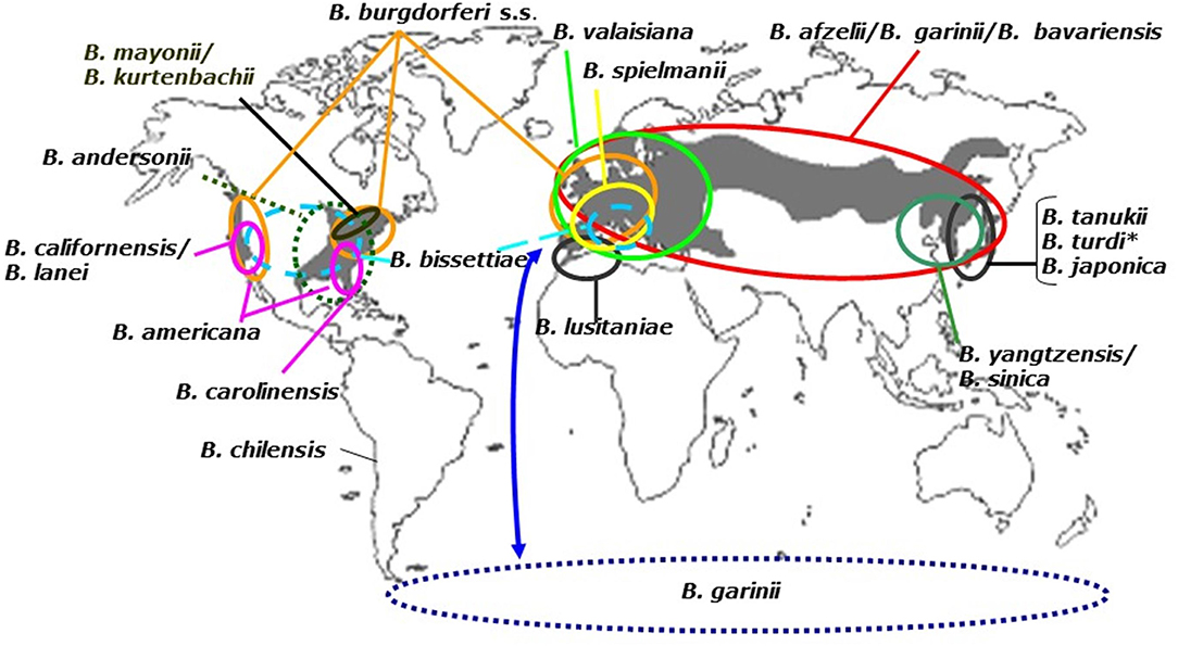 www.frontiersin.org