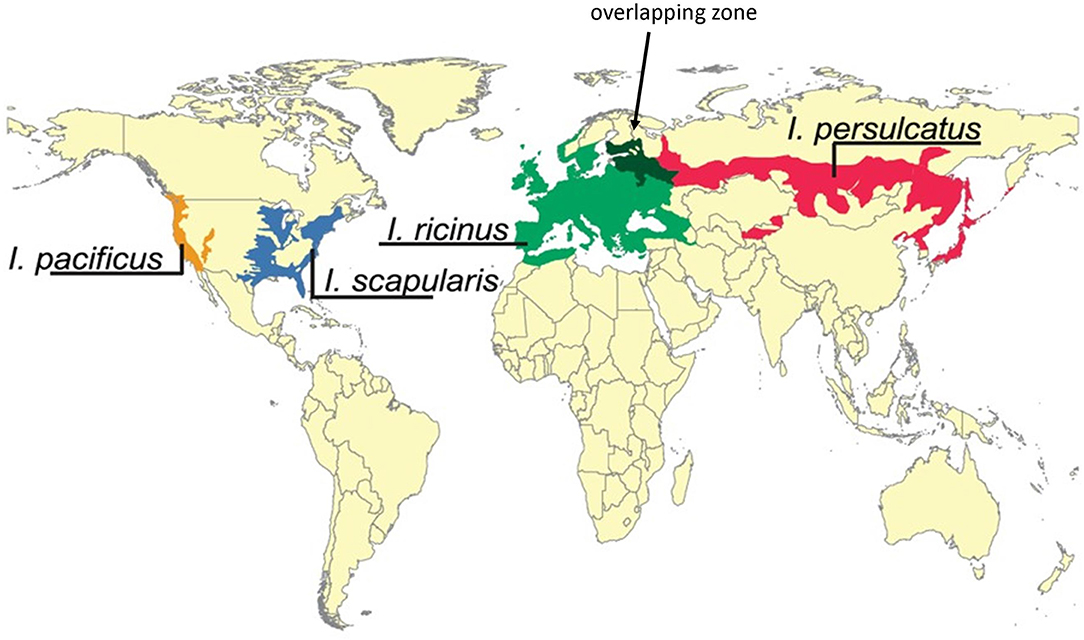 www.frontiersin.org