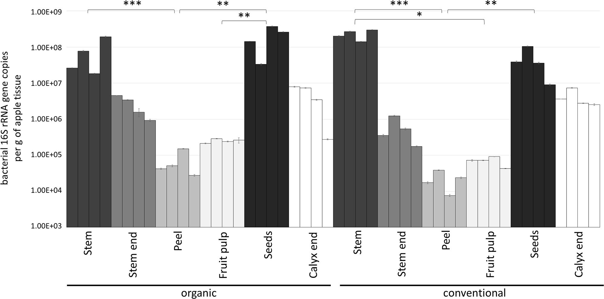 Are Apples Good for You? - Bacteria in Apples Study