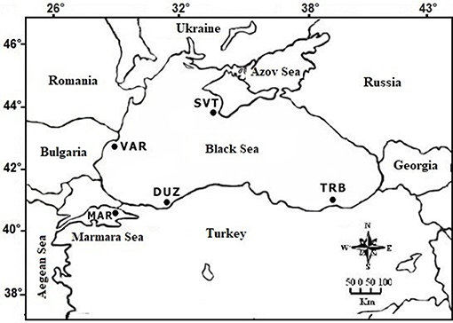 www.frontiersin.org