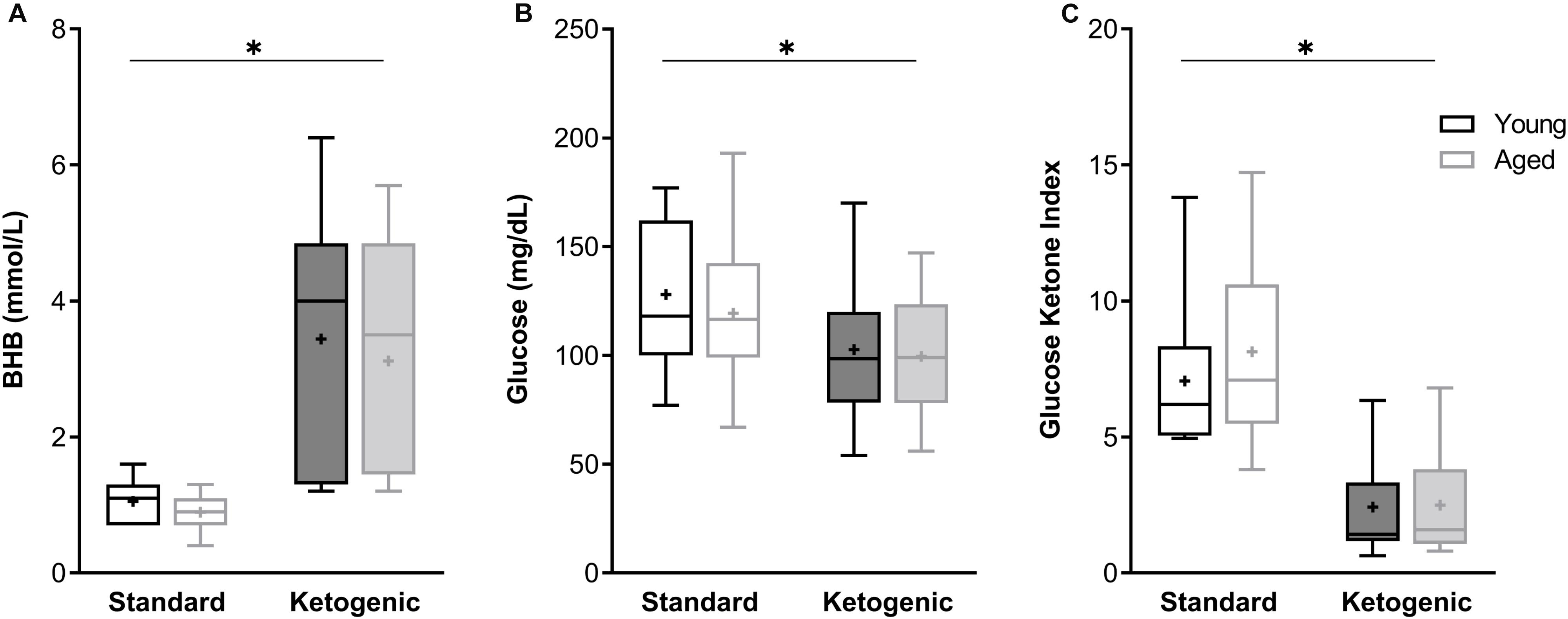 Frontiers | Age and Ketogenic Diet Have Dissociable ...