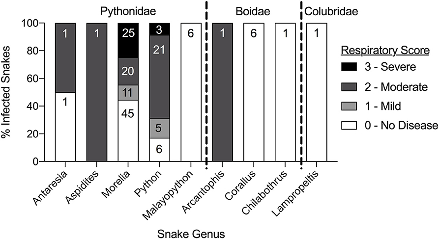 Nidovirus Snake Testing on Pythons 