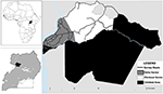 www.frontiersin.org