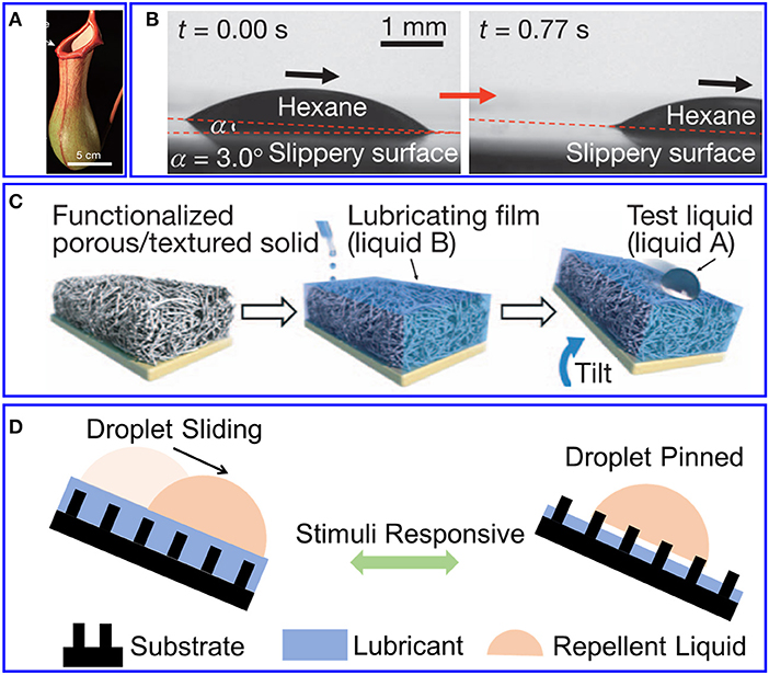 Lubricant-Infused Surfaces with Built-In Functional Biomolecules