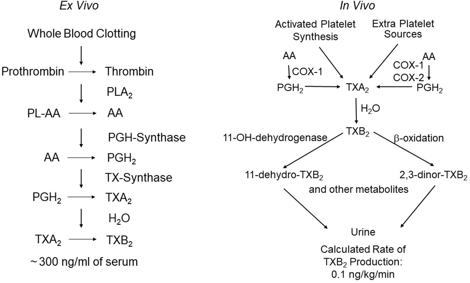 Frontiers Measurement Of Thromboxane Biosynthesis In Health And Disease