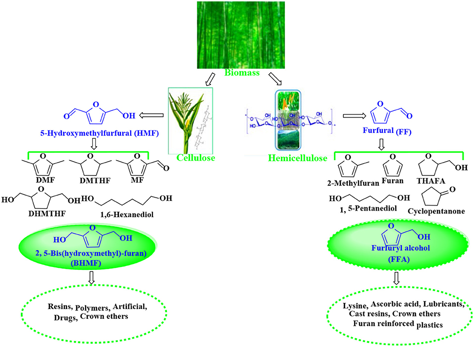 Catalytic Reductive Alcohol Etherifications with Carbonyl‐Based