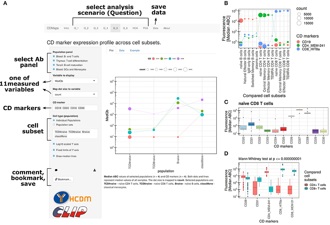 Human Cd Antigen Chart