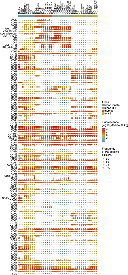 Bd Biosciences Human Cd Marker Chart