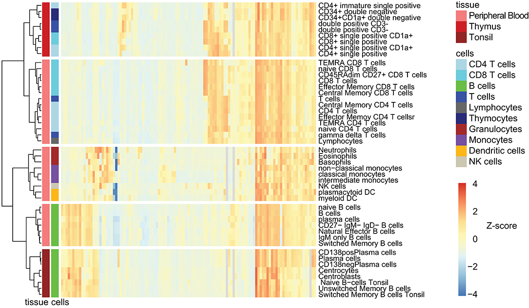 Human Cd Antigen Chart