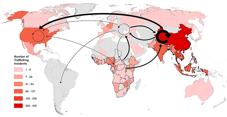 Figure 2 - The countries involved in pangolin trafficking from 2010 to 2015, based on the number of trafficking incidents per country (indicated by the color-coded areas listed in the key), and pangolin trafficking routes between continents (amended from Heinrich et al. [4]).