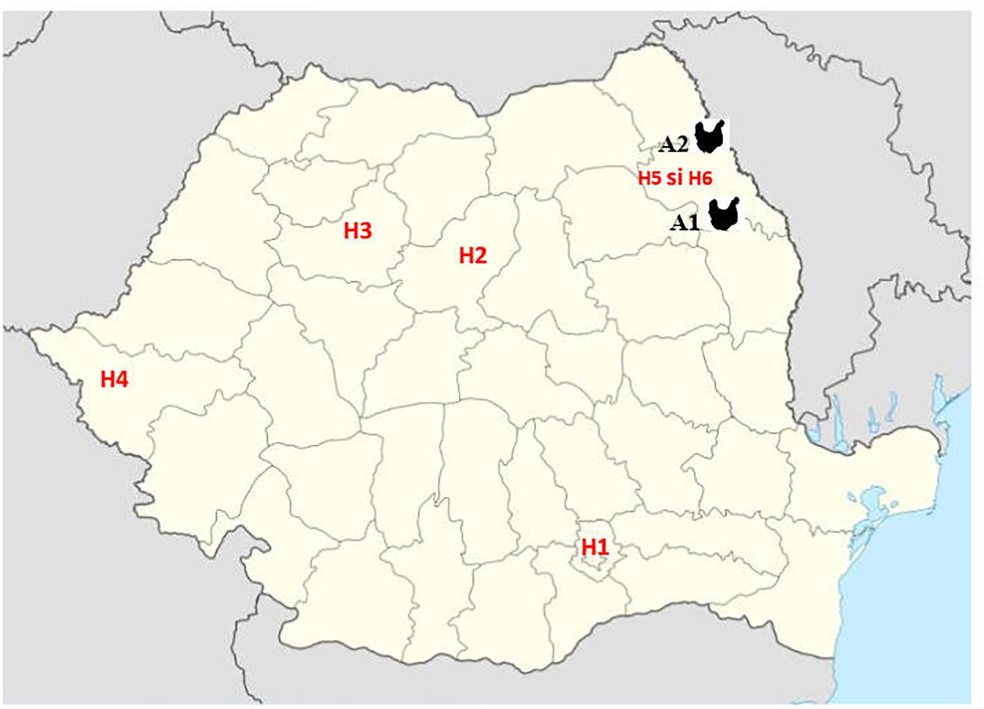 www.frontiersin.org