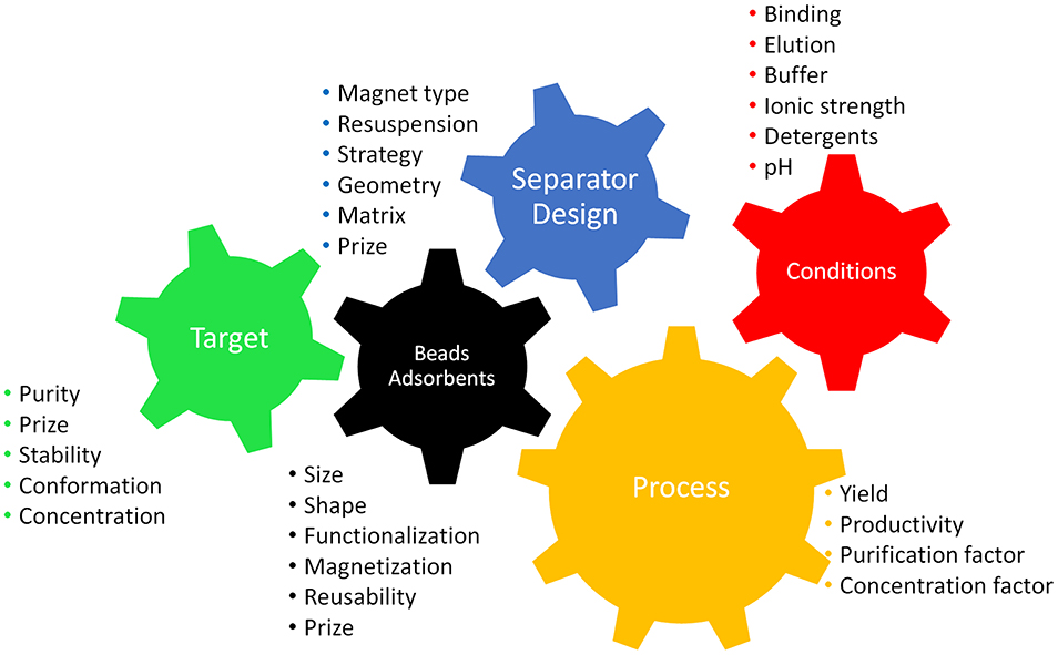 Magnets: Types, Applications, Manufacturing, and Magnetizing Process