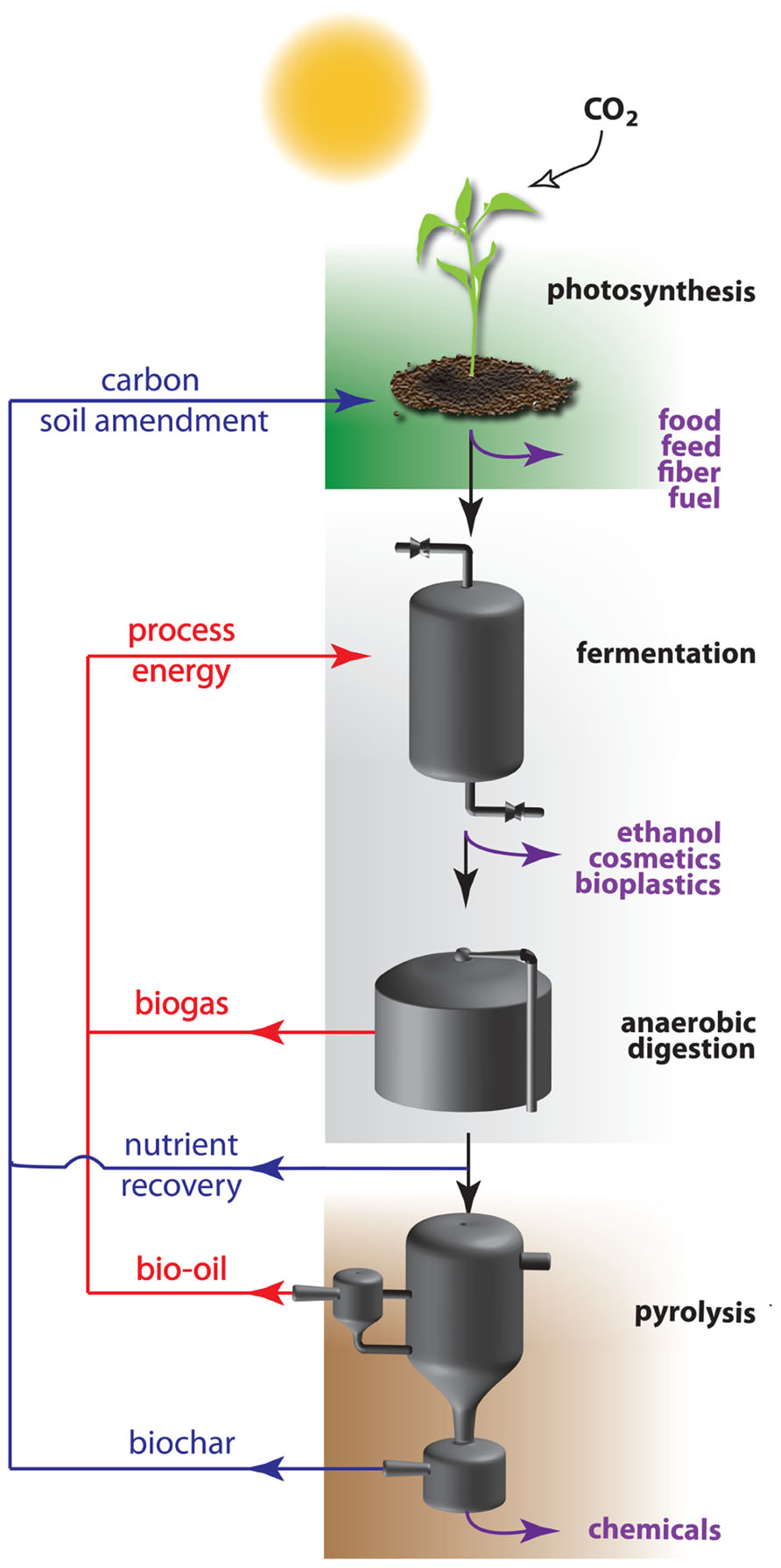 Carbon-Negative Food Waste-Derived Bioethanol: A Hybrid Model of