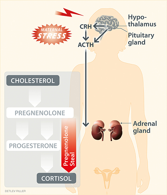 Could This Report Be The Definitive Answer To Your on steroids?